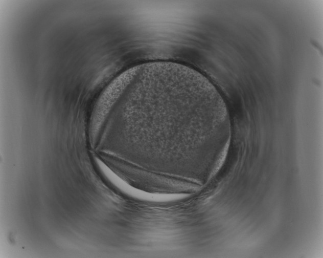 X0000097500681200803142020