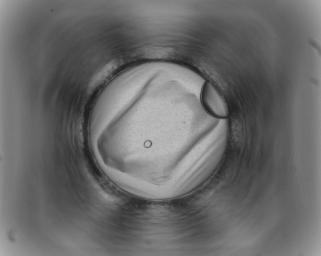 X0000097500682200803142020