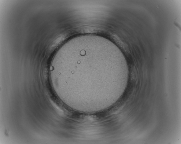 X0000097500683200803142020