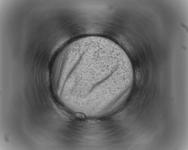 X0000097500684200803142020