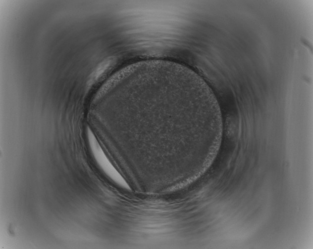 X0000097500685200803142020