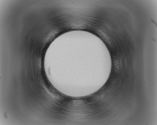 X0000097500686200803142020