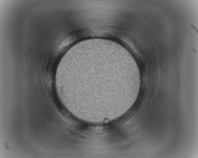 X0000097500687200803142020