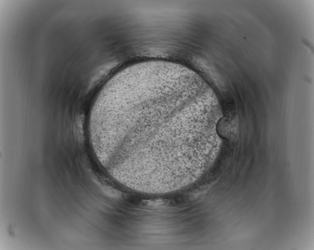 X0000097500688200803142020