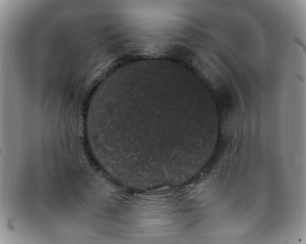 X0000097500689200803142020