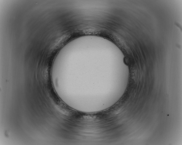 X0000097500690200803142020