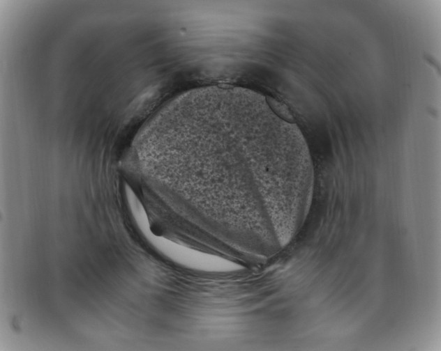 X0000097500693200803142020