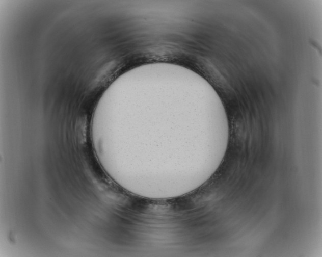 X0000097500694200803142020