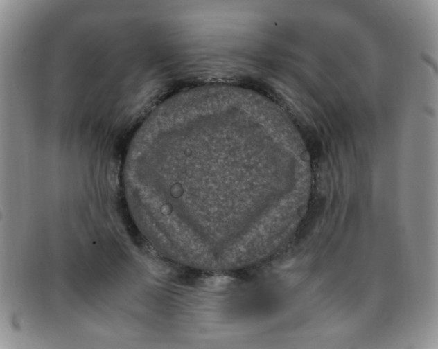 X0000097500695200803142020