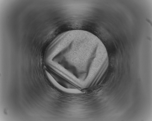 X0000097500697200803142020