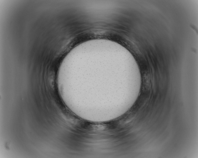 X0000097500698200803142020