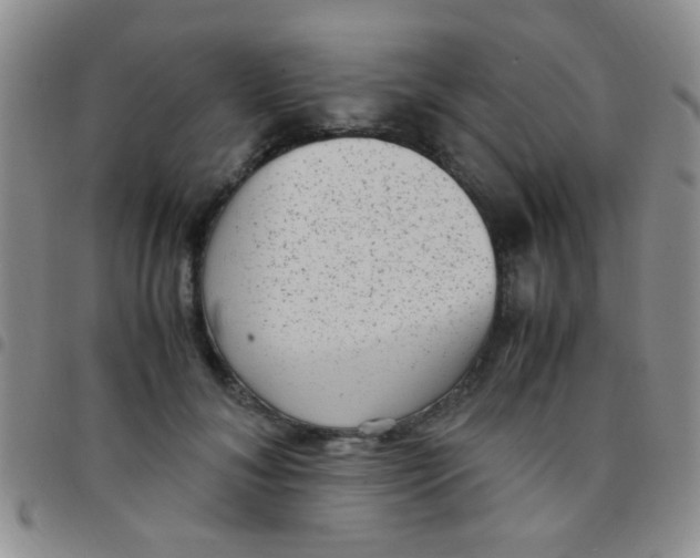 X0000097500700200803142020