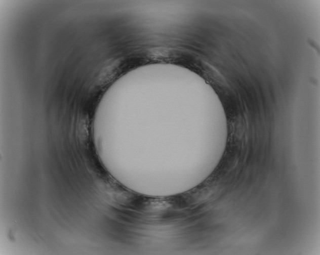 X0000097500702200803142020