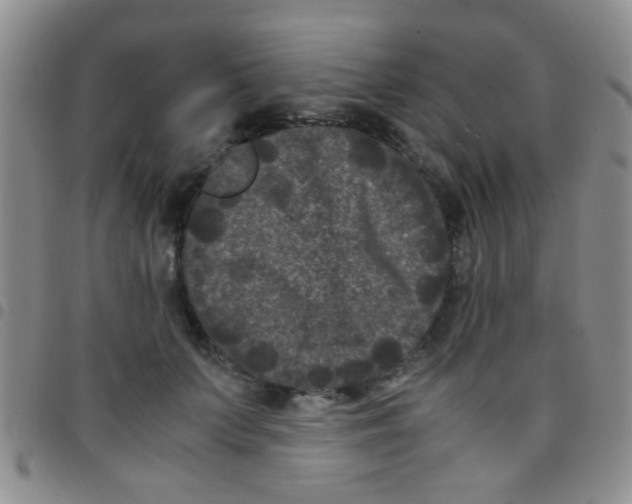 X0000097500703200803142020