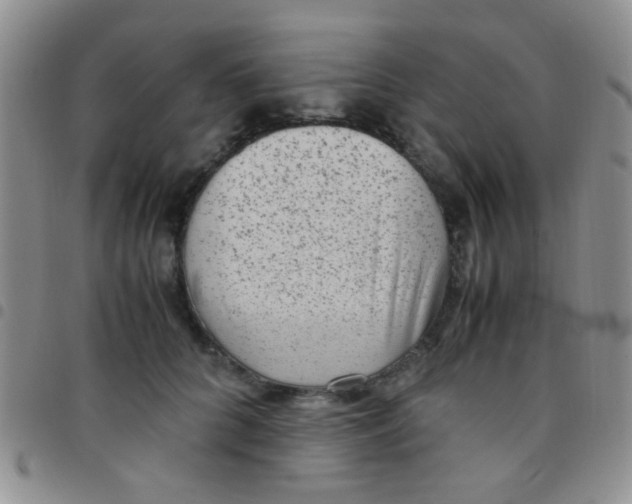 X0000097500704200803142020