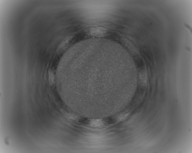 X0000097500705200803142020