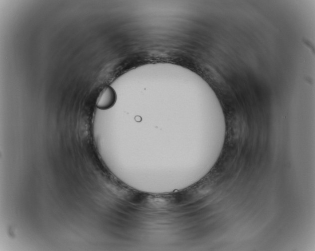 X0000097500706200803142020