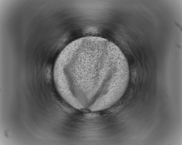 X0000097500708200803142019