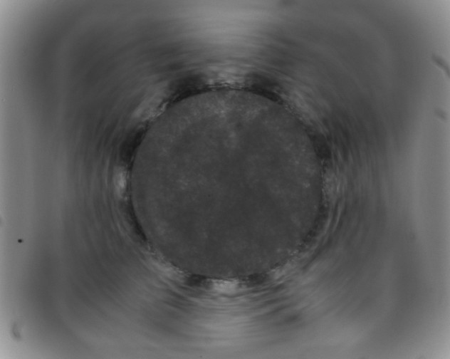 X0000097500709200803142019