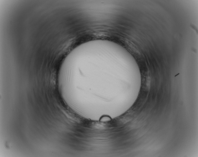 X0000097500710200803142019