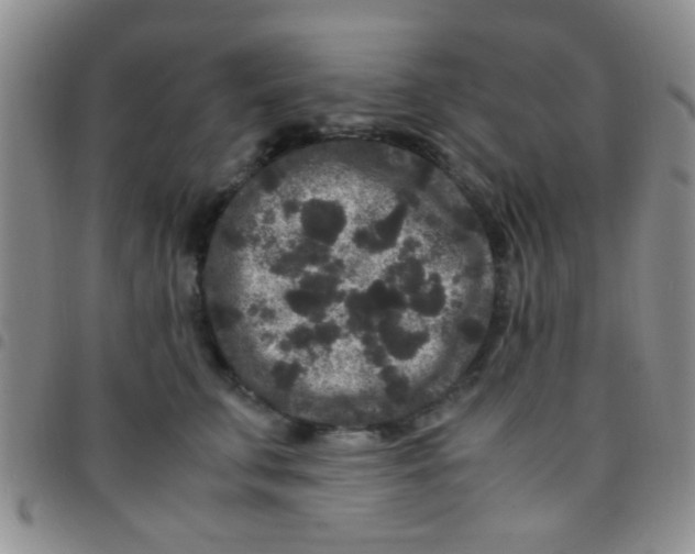 X0000097500711200803142019