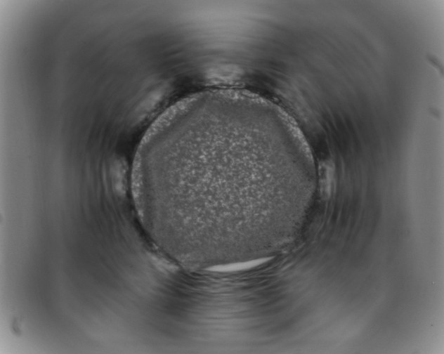 X0000097500712200803142019