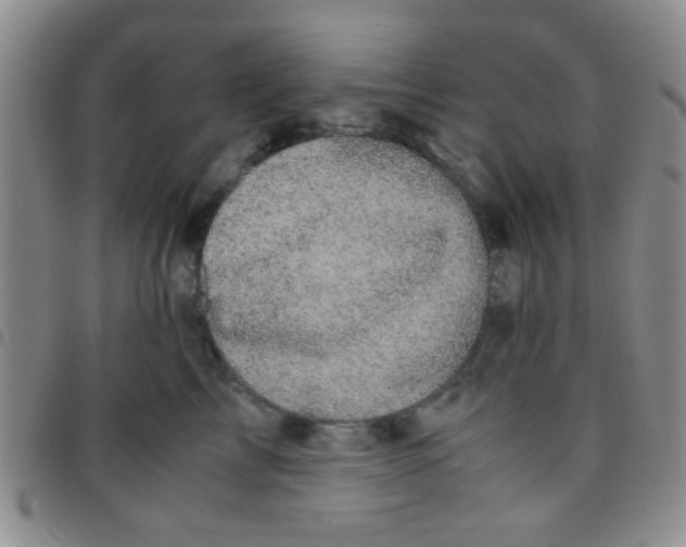 X0000097500713200803142019