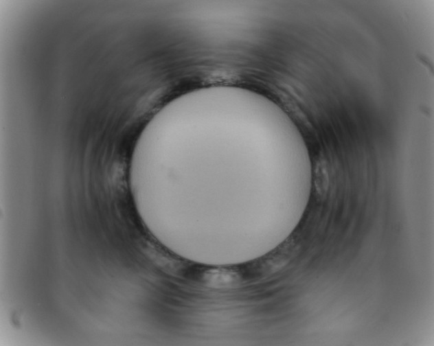 X0000097500714200803142019