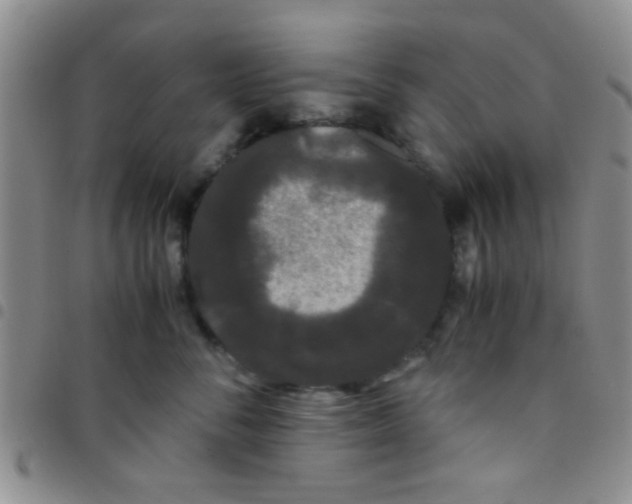 X0000097500716200803142019