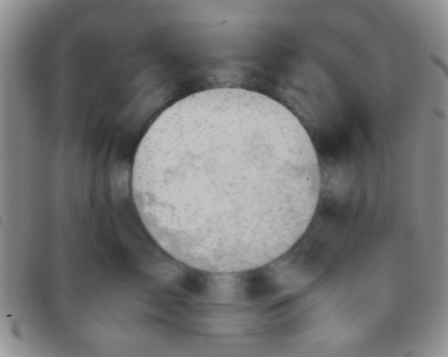 X0000097500717200803142019