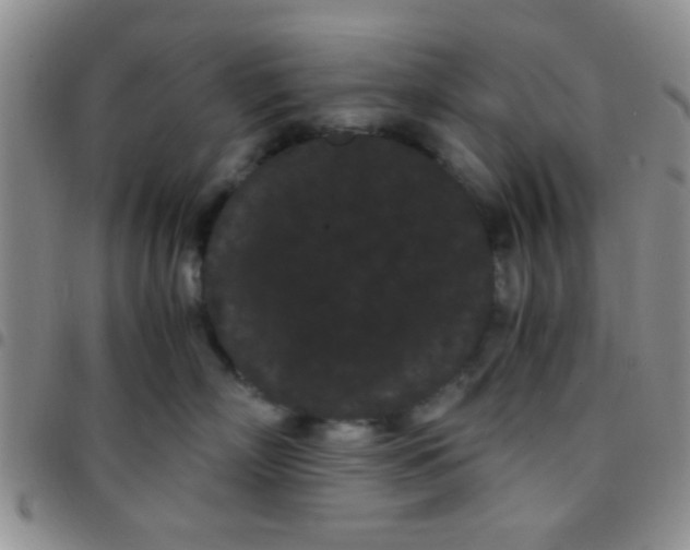 X0000097500718200803142019