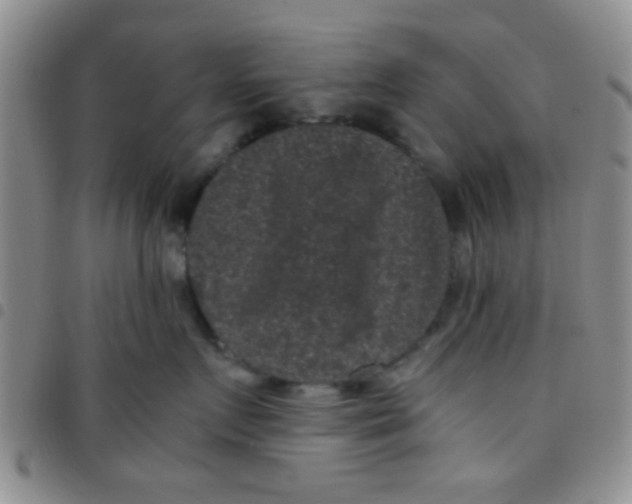 X0000097500719200803142019