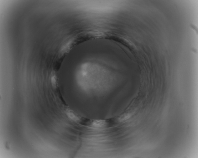 X0000097500720200803142019