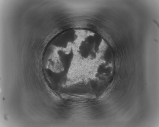 X0000097500721200803142019