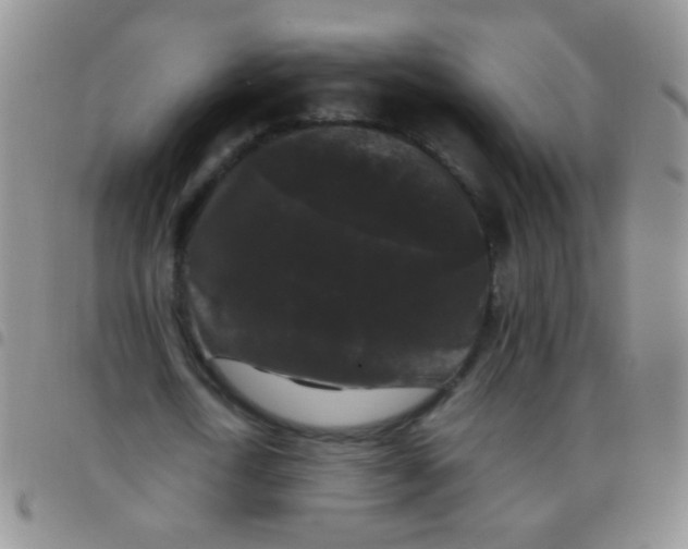 X0000097500722200803142019