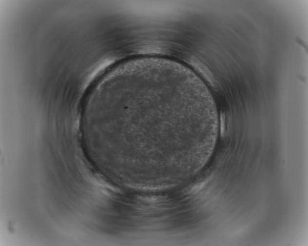 X0000097500723200803142019