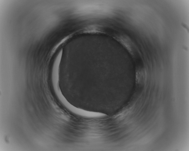 X0000097500724200803142019