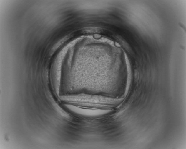 X0000097500725200803142019