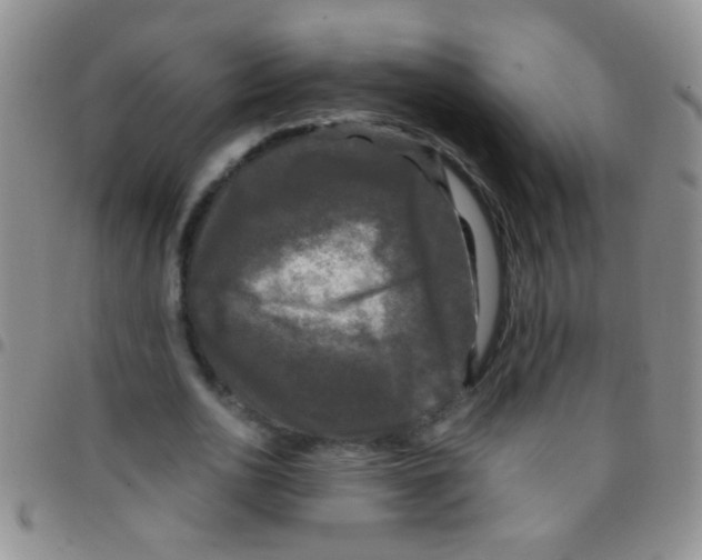 X0000097500726200803142019