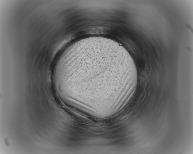 X0000097500727200803142019