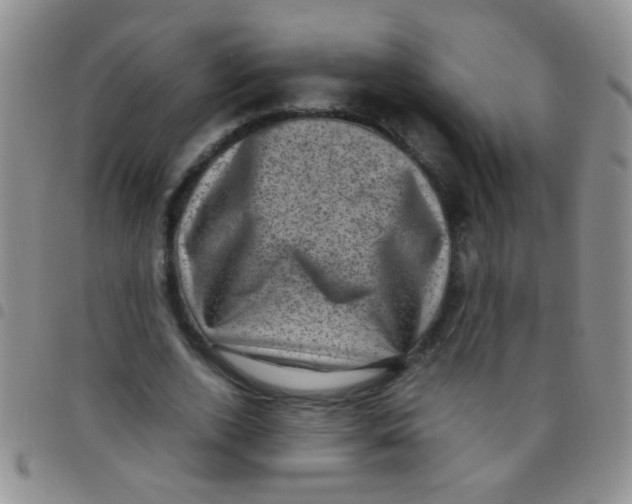 X0000097500728200803142019