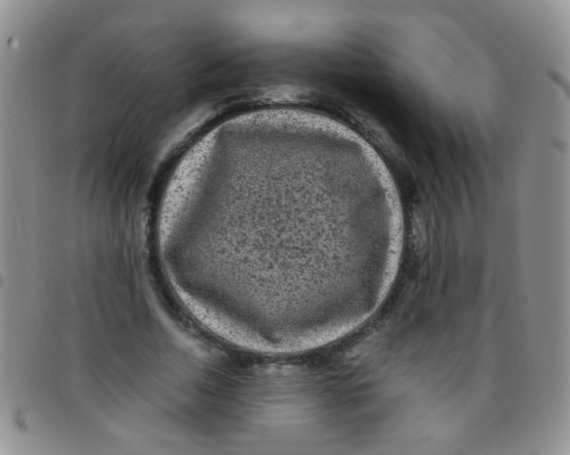 X0000097500730200803142019