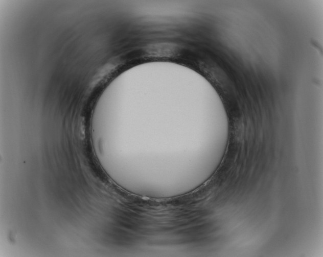 X0000097500731200803142019