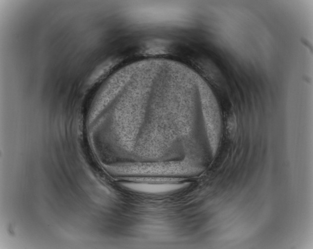 X0000097500732200803142019