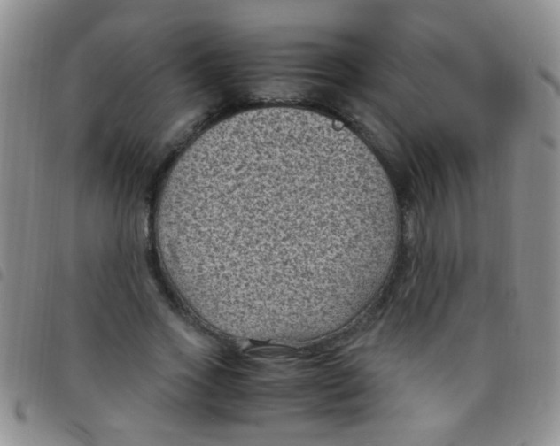 X0000097500733200803142019