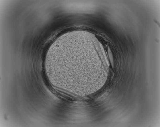 X0000097500734200803142019