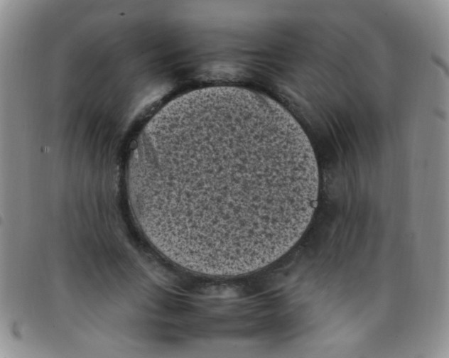 X0000097500735200803142019