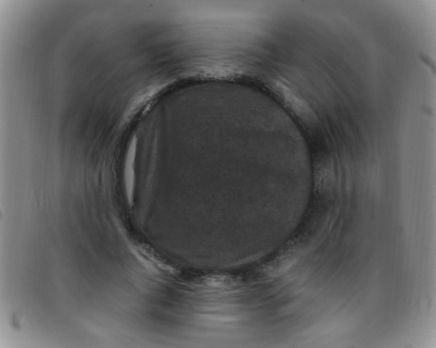 X0000097500736200803142019