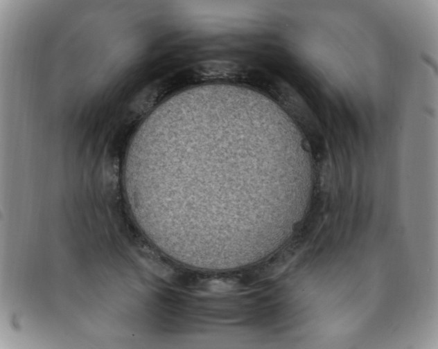 X0000097500737200803142019