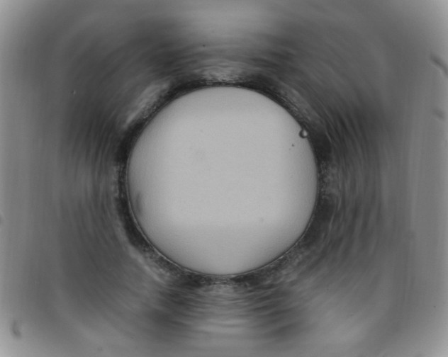 X0000097500738200803142019